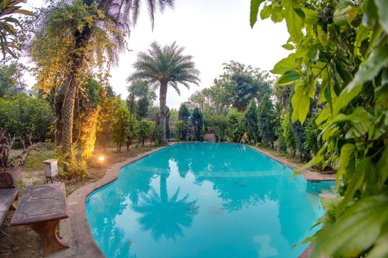 Hostie Chinar Haveli - Heritage Home With Pool, Гургаон Екстериор снимка
