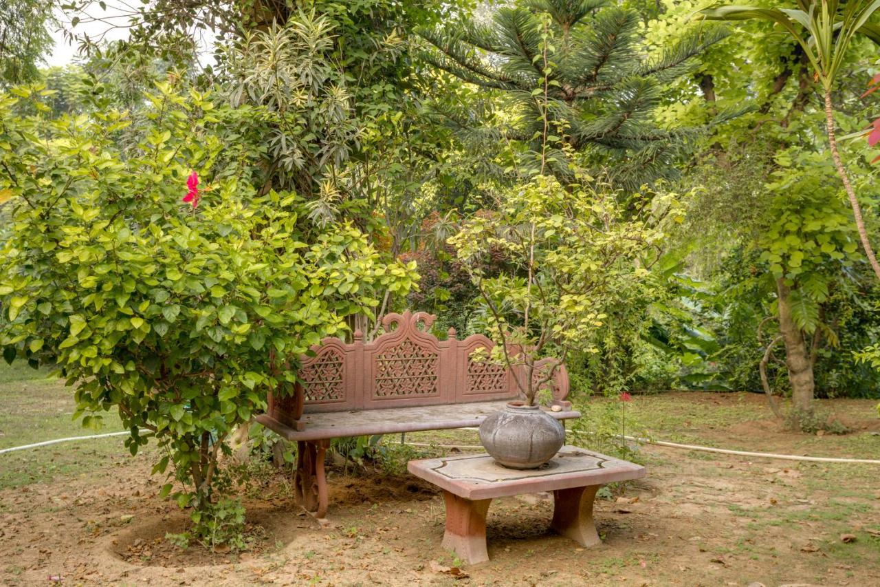 Hostie Chinar Haveli - Heritage Home With Pool, Гургаон Екстериор снимка
