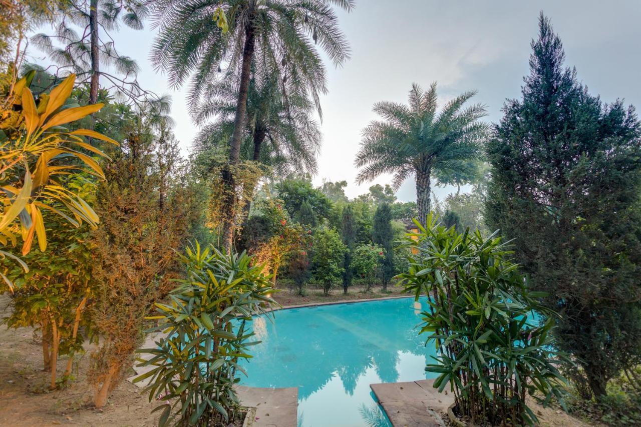Hostie Chinar Haveli - Heritage Home With Pool, Гургаон Екстериор снимка