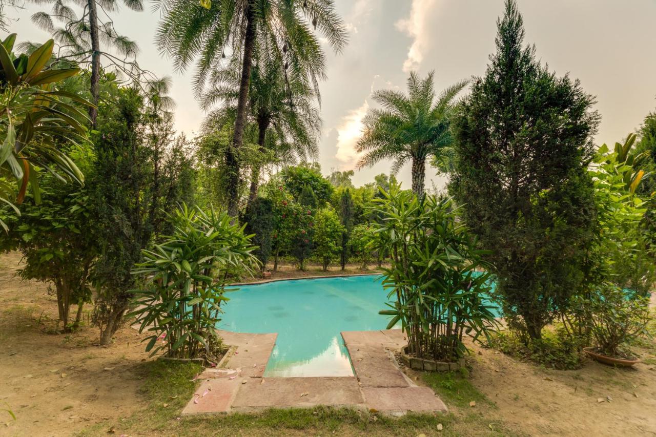 Hostie Chinar Haveli - Heritage Home With Pool, Гургаон Екстериор снимка
